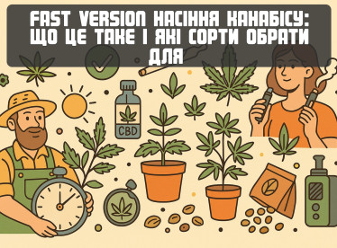 Fast Version семена каннабиса: что это такое и какие сорта выбрать для стабильного урожая