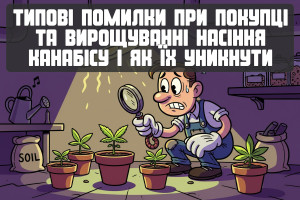 Типичные ошибки при покупке и выращивании семян каннабиса и как их избежать