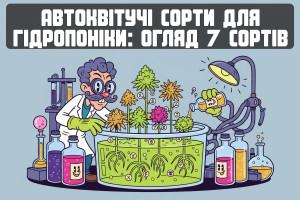 Автоцветущие сорта для гидропоники: обзор 7 сортов