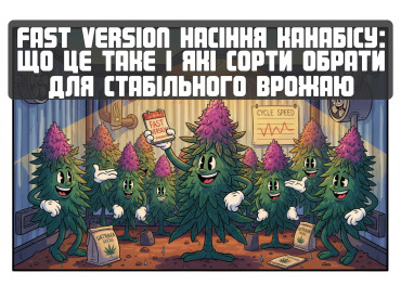 Fast Version насіння канабісу: що це таке і які сорти обрати для стабільного врожаю
