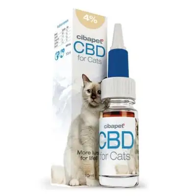 CBD Oil for Cats 4% by Cibdol (10ml)