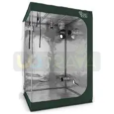 Growbox RoyalRoom Classic C135 (135x135x200 cm)
