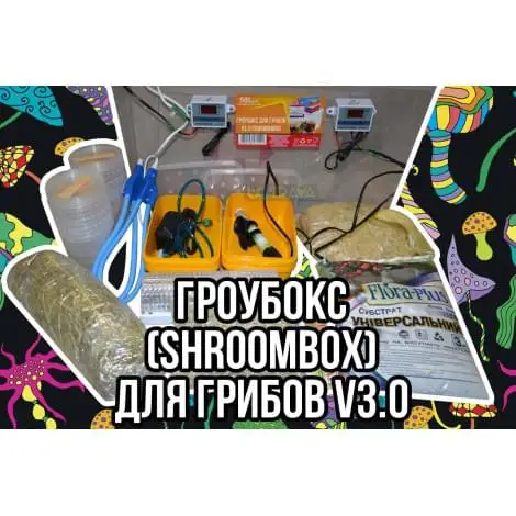 Гроубокс для грибов
