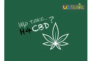 Что такое H4CBD?
