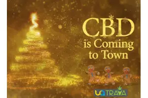 Новогодняя песня о CBD