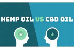 В чем разница между маслом CBD и конопляным маслом?