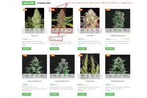 Акции, Скидки, на семена конопли, cbd и другие товары UATRAVA