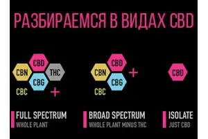 Каннабидиол – разбираемся в конопляной продукции