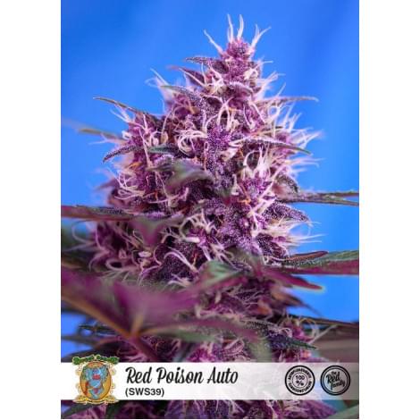 Red Poison Auto