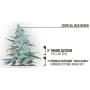 Critical Jack Herer Fem