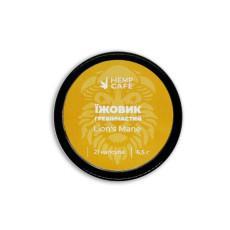 Capsules de crinière de lion (21 pièces)