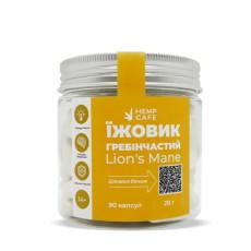 Capsules de crinière de lion (90 pièces)