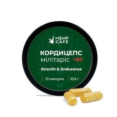 Capsules Cordyceps militaire + Vitamine B3 (21 pièces)