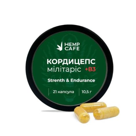 Capsules Cordyceps militaire + Vitamine B3 (21 pièces)