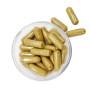 Capsules Panthère + Amanite tue-mouches rouge + Niacine (140 pièces)