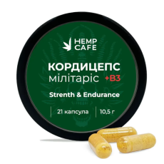 Cápsulas de Cordyceps Military + Vitamina B3 (21 unidades)