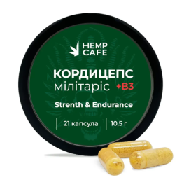 Капсули Кордіцепс військовий + Вітамін B3 (21шт)