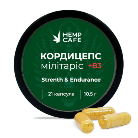 Kapseln Cordyceps militärisch + Vitamin B3 (21 Stück)