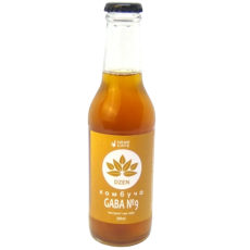 Kombucha GABA z efektem Dzen 200ml