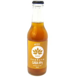 Kombucha GABA z efektem Dzen 200ml