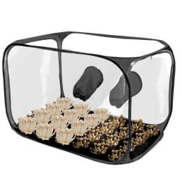 Airbox mushroom growbox (foldable, portable)