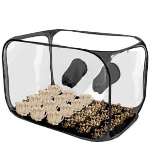 Growbox für Pilze Airbox (zusammenklappbar, tragbar)