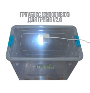 Гроубокс для грибів (v2.0)