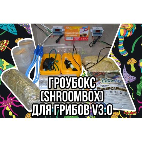 Grovebox for mushrooms