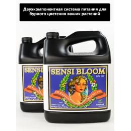 Advanced Nutrients pH Perfect Sensi Bloom A&B