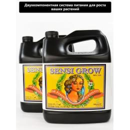 Advanced Nutrients pH Perfect Sensi Grow A&B