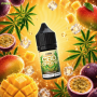CBD Drops 300 mg Tropical Chill 2