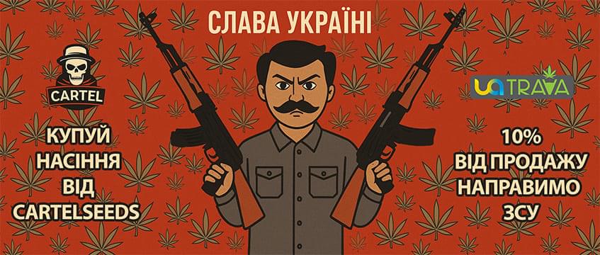 Купуй СartelSeeds - Направимо 10% на ЗСУ