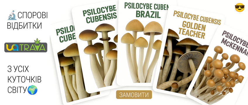 Споровые отпечатки Psilocybe Cubensis