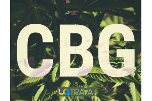 What is cannabigerol (CBG)?