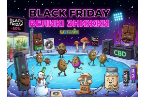 BLACK FRIDAY В UATRAVA 2025