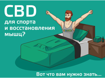 CBD для спорта и восстановления мышц? Вот что вам нужно знать