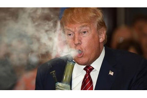 Donald Trump on cannabis legalization