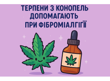 Tolerance of hemp: how natural remedies help with fibromyalgia and post-operative pain