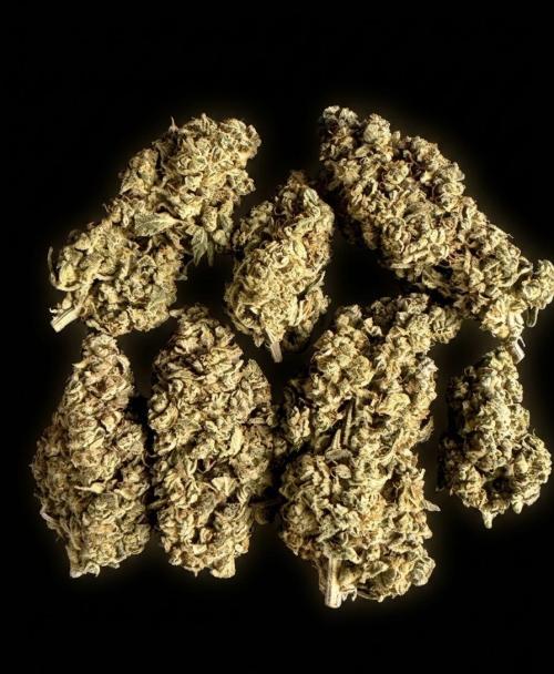 Mimosa Orange Punch фото 1